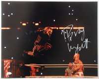Bray Wyatt Signed WWE 16x20 Photo (Authentic Ink) at PristineAuction.com
