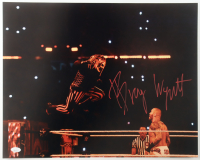 Bray Wyatt Signed WWE 16x20 Photo (Authentic Ink) at PristineAuction.com