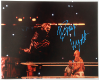 Bray Wyatt Signed WWE 16x20 Photo (Authentic Ink) at PristineAuction.com