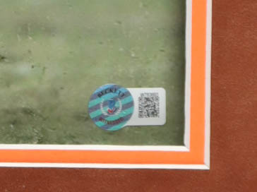 Josh Cribbs Signed Browns Custom Framed Photo Display Inscribed "3x Pro Bowl, 2000's All-Decade Team" (Beckett) at PristineAuction.com Josh Cribbs Signed Browns Custom Framed Photo Display Inscribed "3x Pro Bowl, 2000's All-Decade Team" (Beckett) at PristineAuction.com