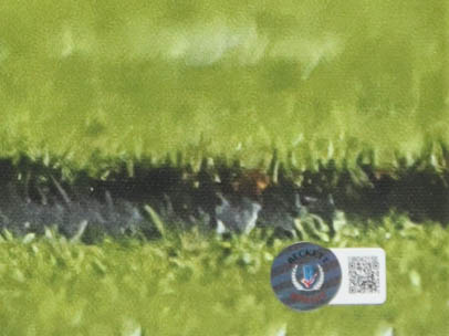 Nick Chubb Signed Browns Canvas Print (Beckett) at PristineAuction.com Nick Chubb Signed Browns Canvas Print (Beckett) at PristineAuction.com