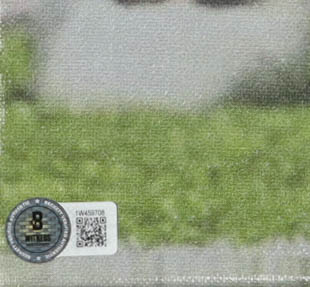 Myles Garrett Signed Browns Canvas Print (Beckett) at PristineAuction.com Myles Garrett Signed Browns Canvas Print (Beckett) at PristineAuction.com