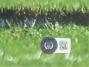 Nick Chubb Signed Browns Canvas Print (Beckett) at PristineAuction.com Nick Chubb Signed Browns Canvas Print (Beckett) at PristineAuction.com