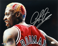 Dennis Rodman Signed Bulls 11x14 Photo (JSA) at PristineAuction.com