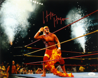 Hulk Hogan Signed WWE 11x14 Photo (JSA) at PristineAuction.com