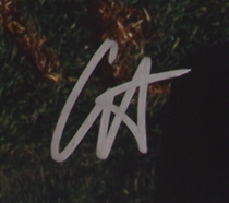 Gracie Abrams Signed "This Is What It Feels Like" Vinyl Record Album (Beckett) at PristineAuction.com Gracie Abrams Signed "This Is What It Feels Like" Vinyl Record Album (Beckett) at PristineAuction.com