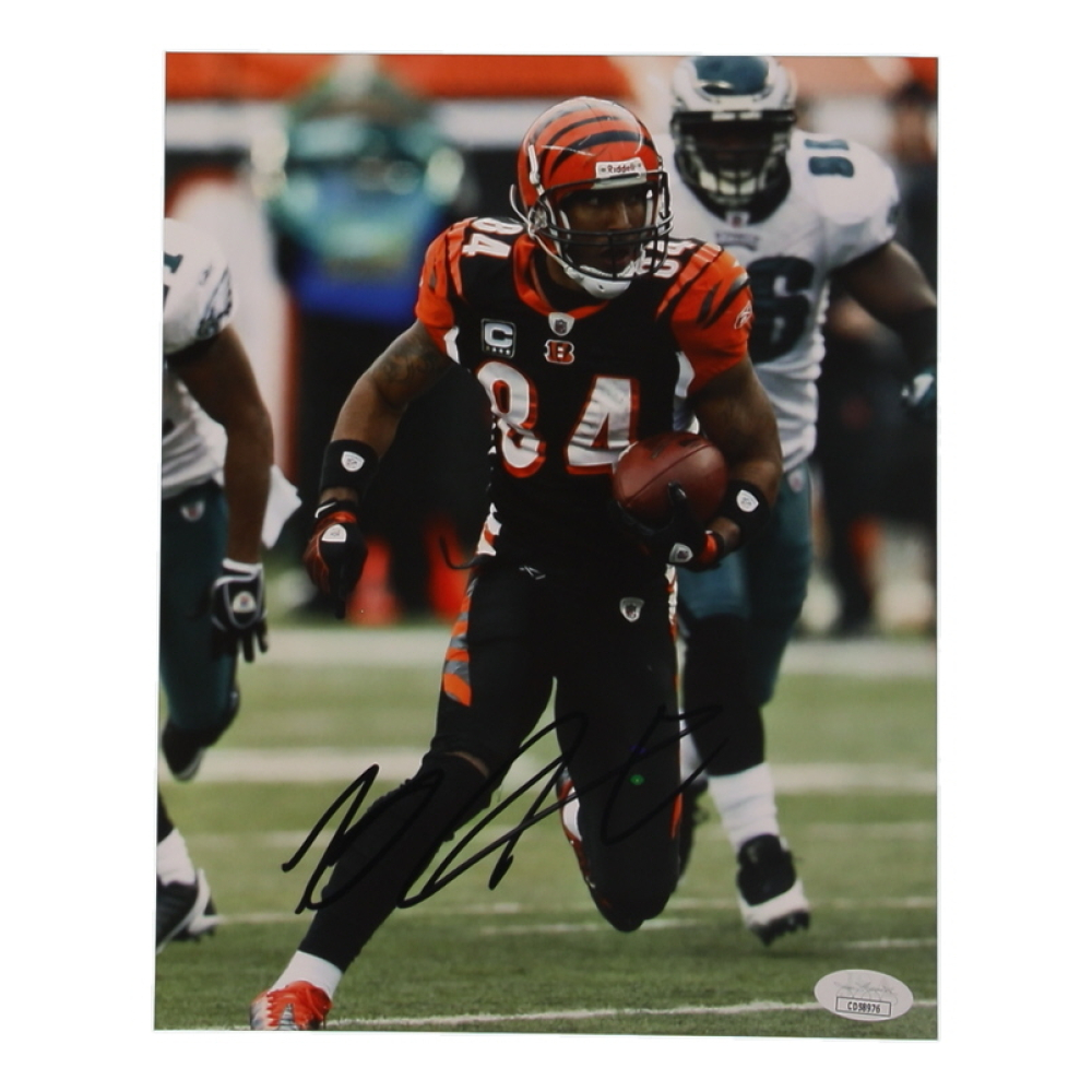 T.J. Houshmandzadeh Signed Bengals 8x10 Photo (JSA) at PristineAuction.com