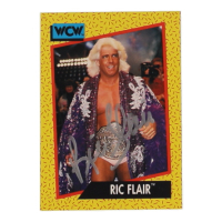 Ric Flair Signed 1991 Impel WCW #44 (JSA) at PristineAuction.com
