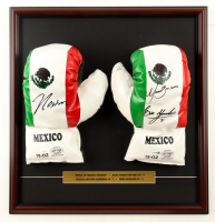 Julio Cesar Chavez, Marco Antonio Barrera & Erik Morales Signed "Kings Of Mexico Boxing" Custom Framed Mexico Boxing Glove Set Display with Career Stat Plaque (JSA) at PristineAuction.com
