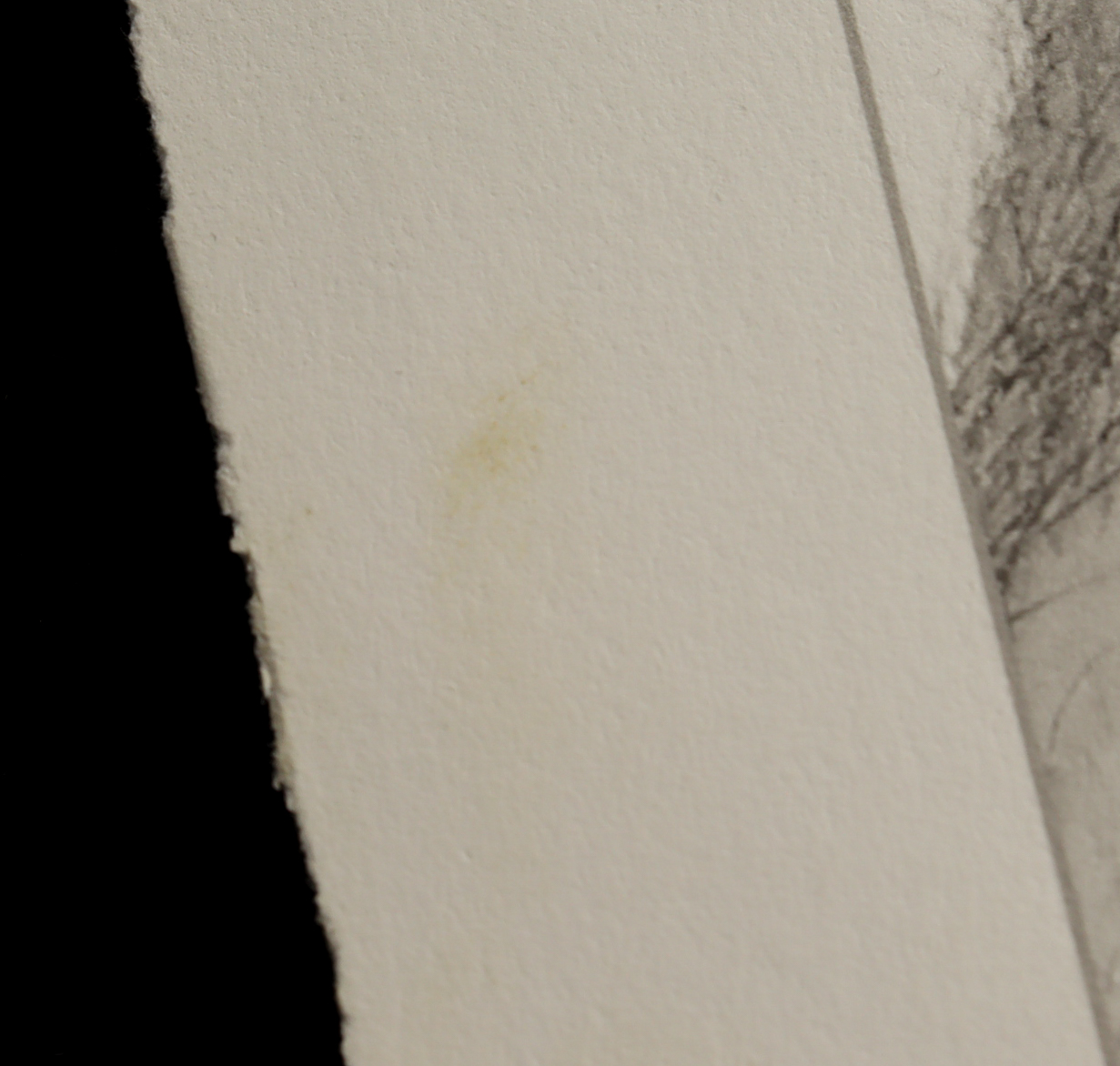 Randy Couture Signed "The Real Captain America" Art Giclee by Eric Williams (Beyond The Cage) at PristineAuction.com Randy Couture Signed "The Real Captain America" Art Giclee by Eric Williams (Beyond The Cage) at PristineAuction.com