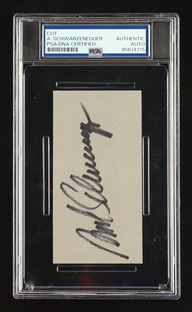 Arnold Schwarzenegger Signed Cut (PSA) at PristineAuction.com Arnold Schwarzenegger Signed Cut (PSA) at PristineAuction.com