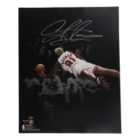 Dennis Rodman Signed Bulls 16x20 Photo (Schwartz) at PristineAuction.com