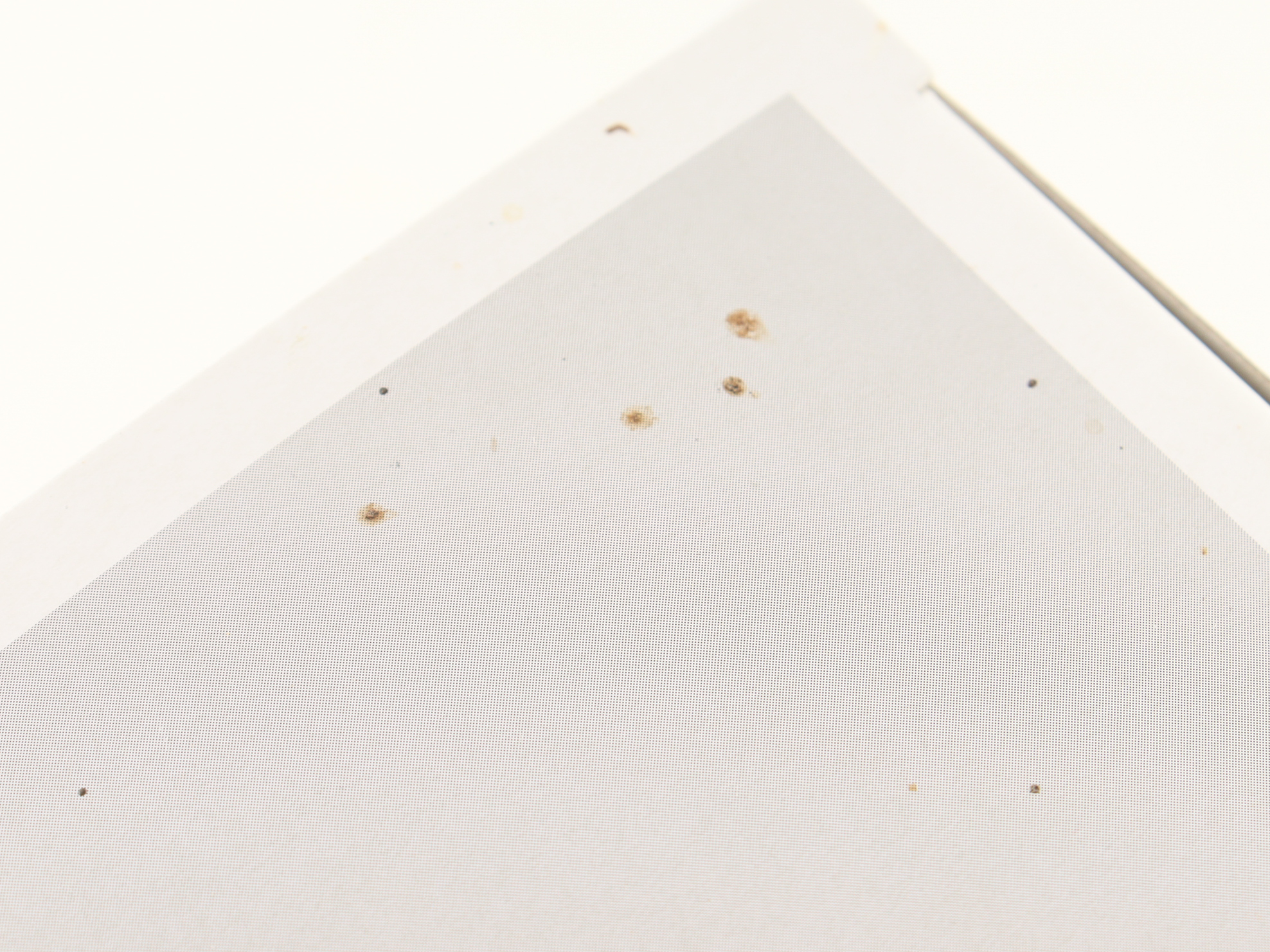 Michelle Rodriguez Signed "Dungeons & Dragons" #1326 Holga Funko Pop! Vinyl Figure (AutographCOA) at PristineAuction.com Michelle Rodriguez Signed "Dungeons & Dragons" #1326 Holga Funko Pop! Vinyl Figure (AutographCOA) at PristineAuction.com