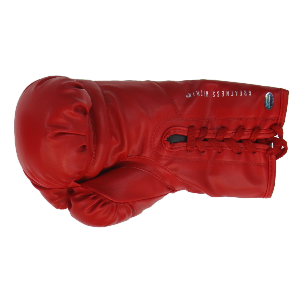 Christy Martin Signed Everlast Boxing Glove Inscribed "Coal Miner's Daughter" (Schwartz) at PristineAuction.com Christy Martin Signed Everlast Boxing Glove Inscribed "Coal Miner's Daughter" (Schwartz) at PristineAuction.com