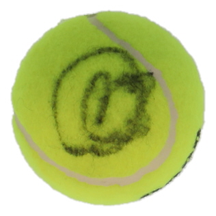 Novak Djokovic Signed Tennis Ball (ACOA) at PristineAuction.com Novak Djokovic Signed Tennis Ball (ACOA) at PristineAuction.com