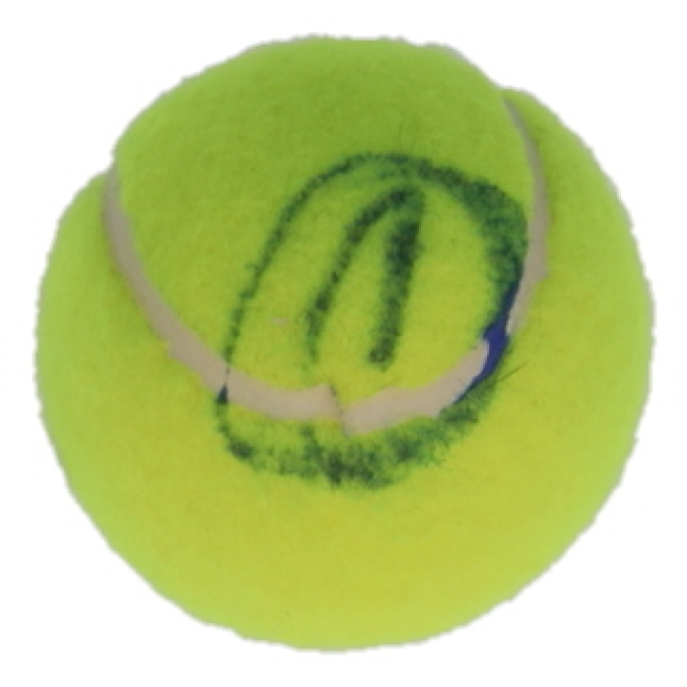 Novak Djokovic Signed Tennis Ball (ACOA) at PristineAuction.com