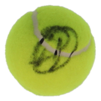 Novak Djokovic Signed Tennis Ball (ACOA) at PristineAuction.com