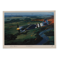 Roland Beamont Signed Stan Stokes "The Exterminator" Lithograph (AIV) at PristineAuction.com