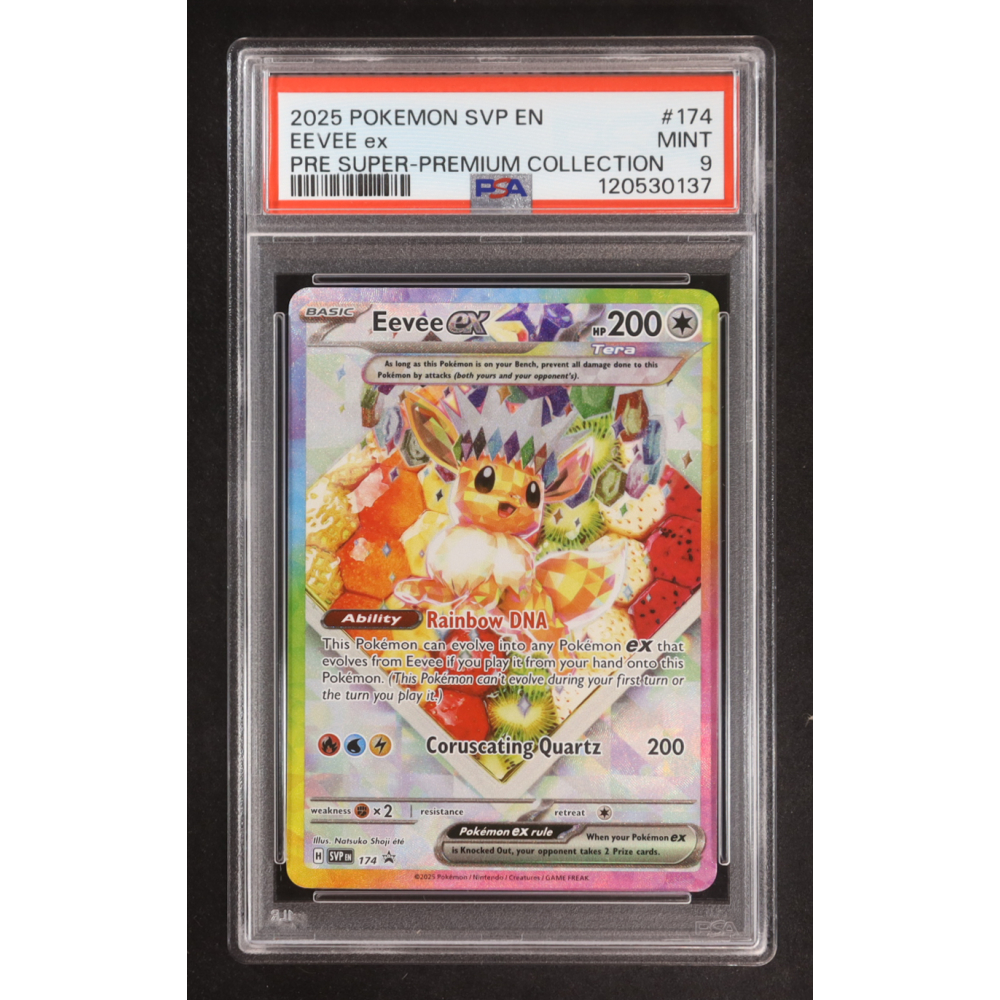 Eevee 2025 Pokemon TCG Scarlet & Violet Black Star Promos #174 (PSA 9) at PristineAuction.com