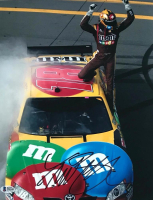 Kyle Busch Signed NASCAR 11x14 Photo (Beckett) at PristineAuction.com