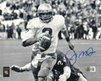 Joe Montana Signed Notre Dame Fighting Irish 8x10 Photo (Beckett) at PristineAuction.com
