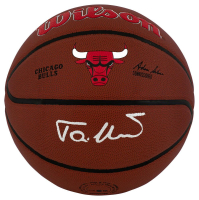 Toni Kukoc Signed Bulls Logo Basketball (Schwartz) at PristineAuction.com