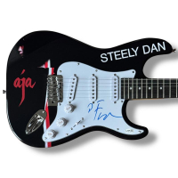 Donald Fagen Signed "Steely Dan" Custom Stratocaster Guitar (JSA) at PristineAuction.com