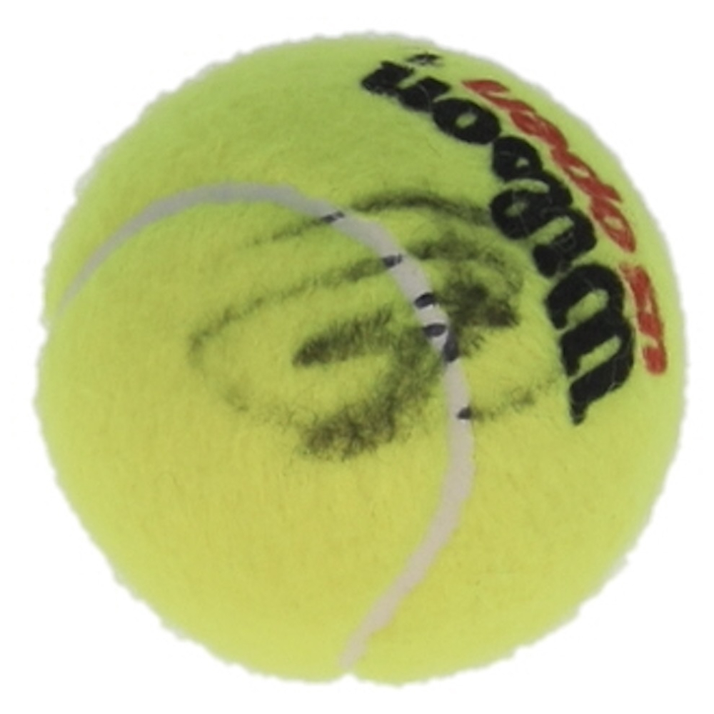Novak Djokovic Signed Tennis Ball (JSA) at PristineAuction.com