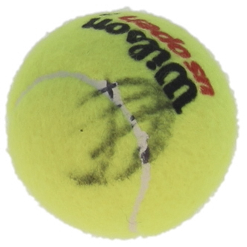 Novak Djokovic Signed Tennis Ball (JSA) at PristineAuction.com
