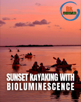 Sunset and Bioluminecence Kayaking Experience for Four (4) at PristineAuction.com