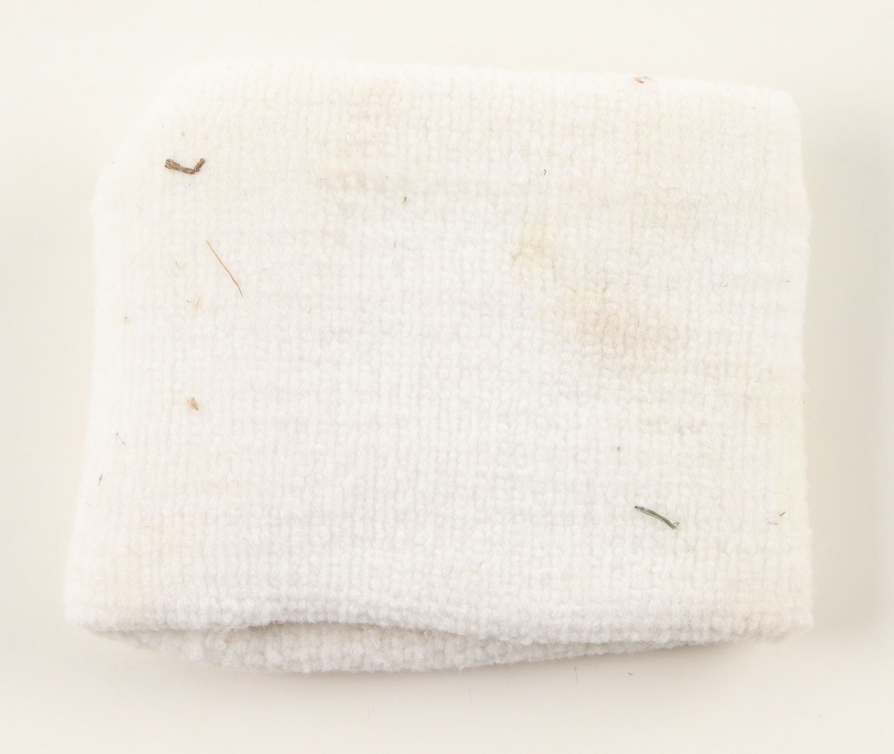 Carson Wentz 2020 Game-Used Wristband (Fanatics) at PristineAuction.com Carson Wentz 2020 Game-Used Wristband (Fanatics) at PristineAuction.com