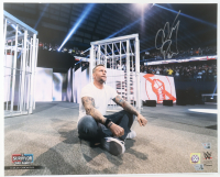 CM Punk Signed WWE 16x20 Photo (Fanatics) at PristineAuction.com