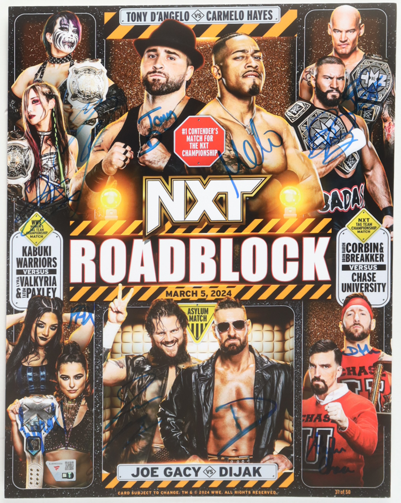 LE NXT 11x14 Photo Signed by (12) with Tony D'Angelo, Carmelo Hayes, Asuka, Kairi Sane #31/50 (Fanatics) at PristineAuction.com LE NXT 11x14 Photo Signed by (12) with Tony D'Angelo, Carmelo Hayes, Asuka, Kairi Sane #31/50 (Fanatics) at PristineAuction.com