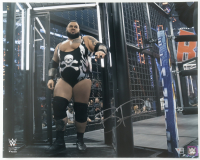 Bronson Reed Signed WWE 16x20 Photo (Fanatics) at PristineAuction.com