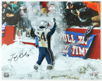 Tedy Bruschi Signed Patriots 16x20 Photo (Fanatics) at PristineAuction.com
