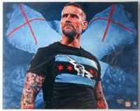 CM Punk Signed WWE 16x20 Photo (Fanatics) at PristineAuction.com