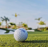 Popcorn & Popstroke Package at PristineAuction.com