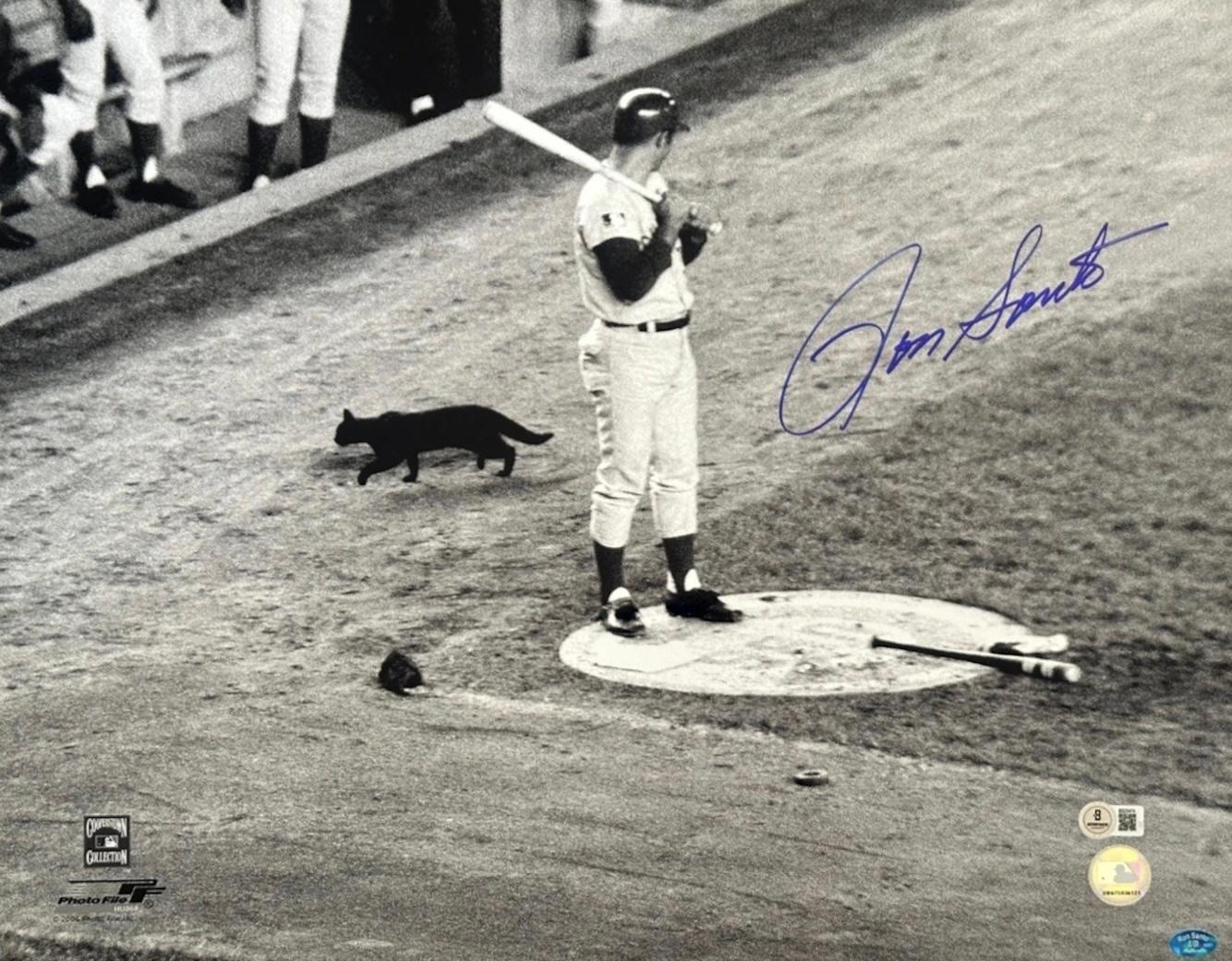 Ron Santo Signed Cubs 16x20 Photo (Beckett) at PristineAuction.com Ron Santo Signed Cubs 16x20 Photo (Beckett) at PristineAuction.com