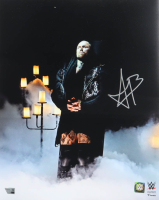 Aleister Black Signed WWE 16x20 Photo (Fanatics) at PristineAuction.com