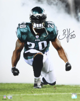 Brian Dawkins Signed Eagles 16x20 Photo (Fanatics) at PristineAuction.com