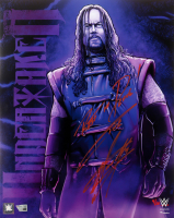 The Undertaker Signed LE WWE 16x20 Photo Inscribed "Rest In Peace!" (Fanatics) at PristineAuction.com