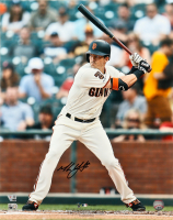 Mike Yastrzemski Signed Giants 16x20 Photo (Fanatics & MLB) at PristineAuction.com