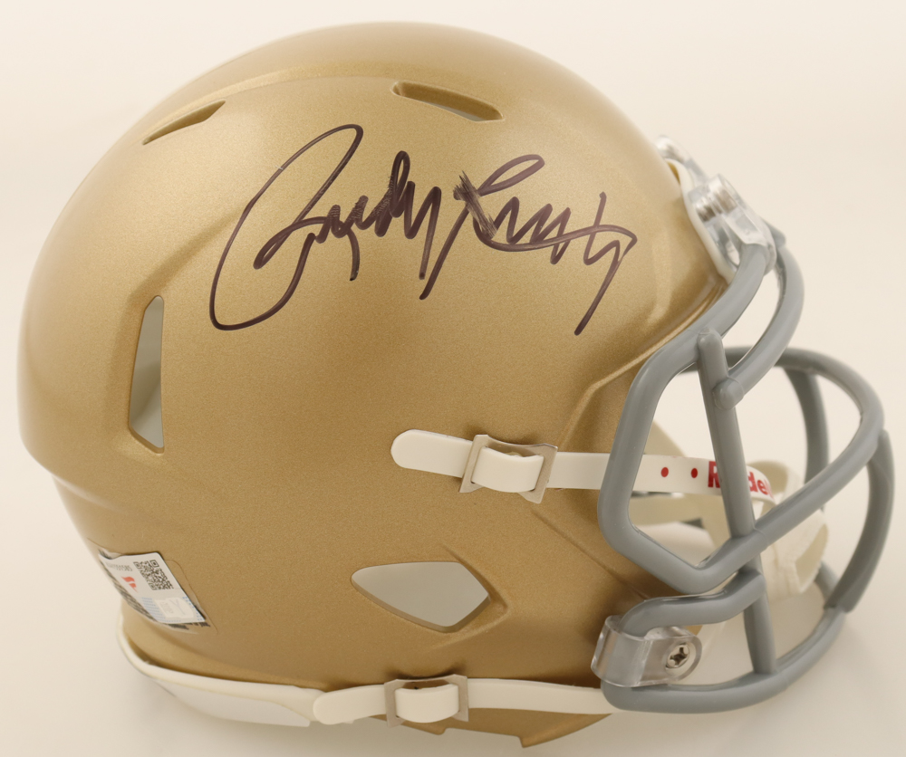 Rudy Ruettiger Signed Notre Dame Fighting Irish Speed Mini Helmet (Fanatics) at PristineAuction.com Rudy Ruettiger Signed Notre Dame Fighting Irish Speed Mini Helmet (Fanatics) at PristineAuction.com