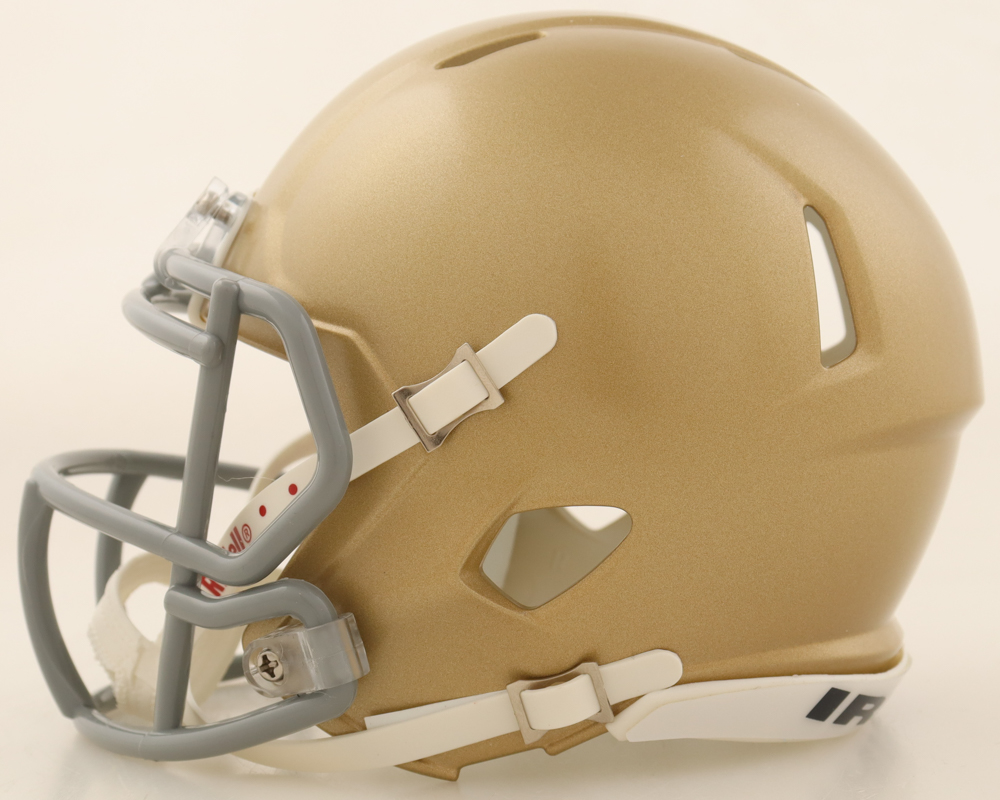 Rudy Ruettiger Signed Notre Dame Fighting Irish Speed Mini Helmet (Fanatics) at PristineAuction.com Rudy Ruettiger Signed Notre Dame Fighting Irish Speed Mini Helmet (Fanatics) at PristineAuction.com