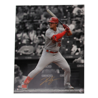 Nolan Gorman Signed Cardinals 16x20 Photo (Gorman) at PristineAuction.com