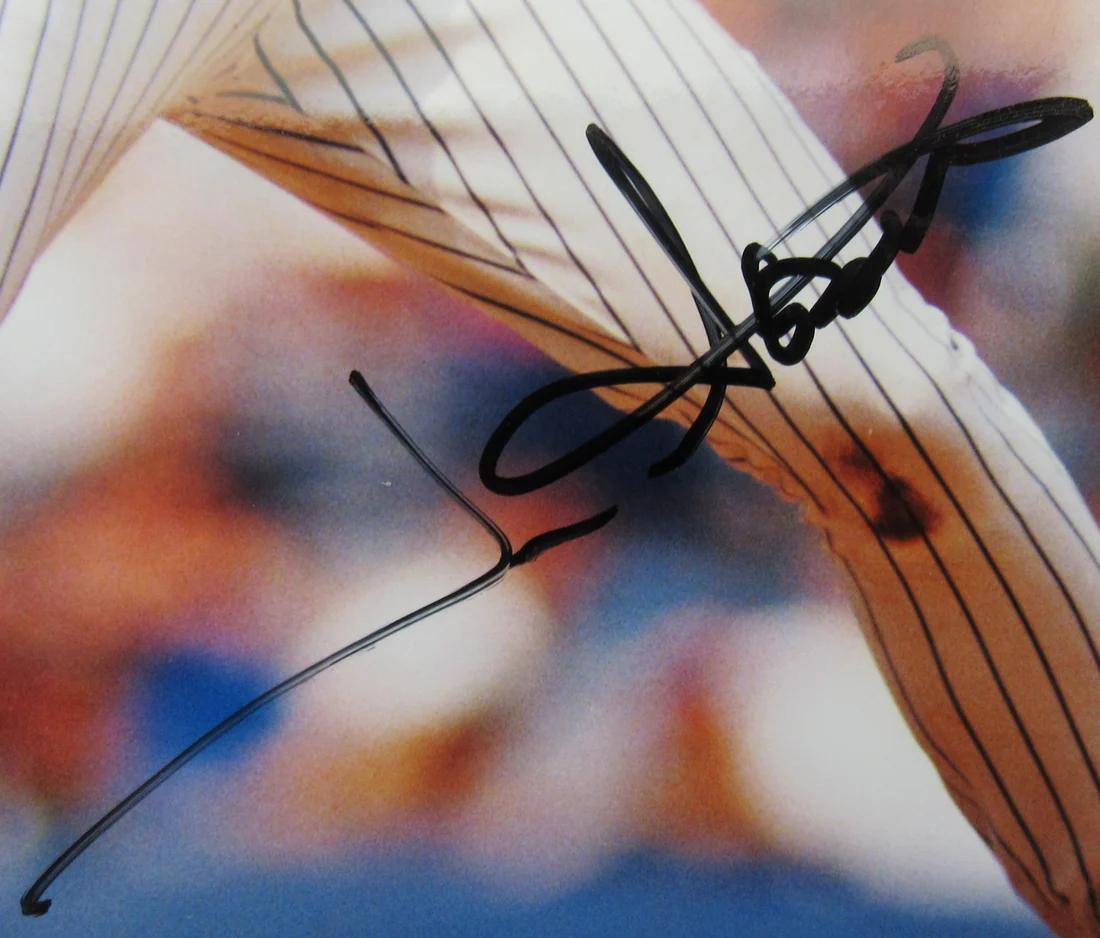 Jim Abbott Signed Yankees 8x10 Photo (JSA) at PristineAuction.com Jim Abbott Signed Yankees 8x10 Photo (JSA) at PristineAuction.com