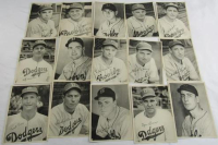 1946 Brookyln Dodgers Photo Set Packet - 15 Photos at PristineAuction.com