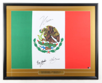 Julio Cesar Chavez, Marco Antonio Barrera & Erik Morales Signed "Kings Of Mexico Boxing" Custom Framed Flag Display (Beckett) at PristineAuction.com