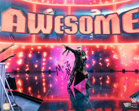 The Miz Signed WWE 16x20 Photo (Fanatics) at PristineAuction.com