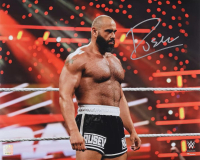 Rusev Signed WWE 16x20 Photo (Fanatics) at PristineAuction.com
